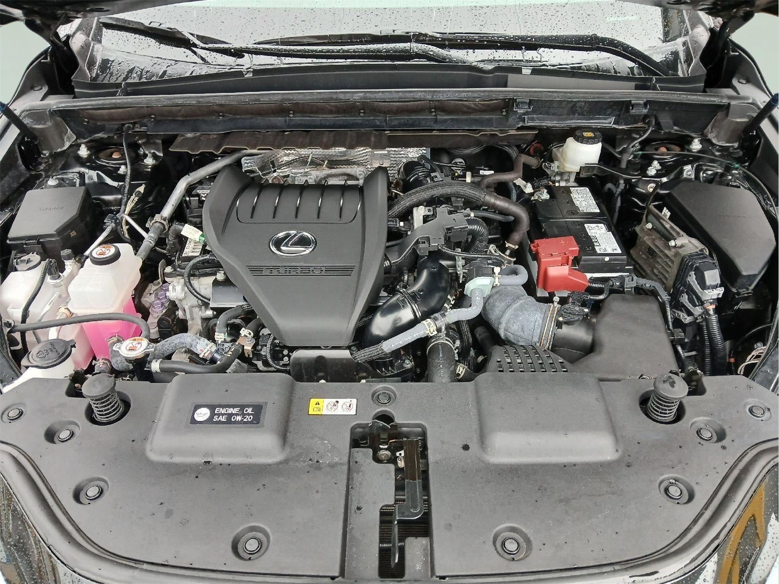 2024 Lexus NX 350 NX 350 Premium