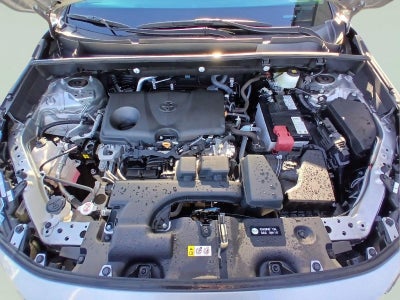 2023 Toyota Rav4 LE