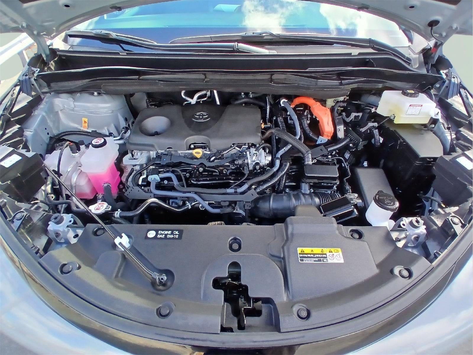 2025 Toyota Sienna Woodland Edition