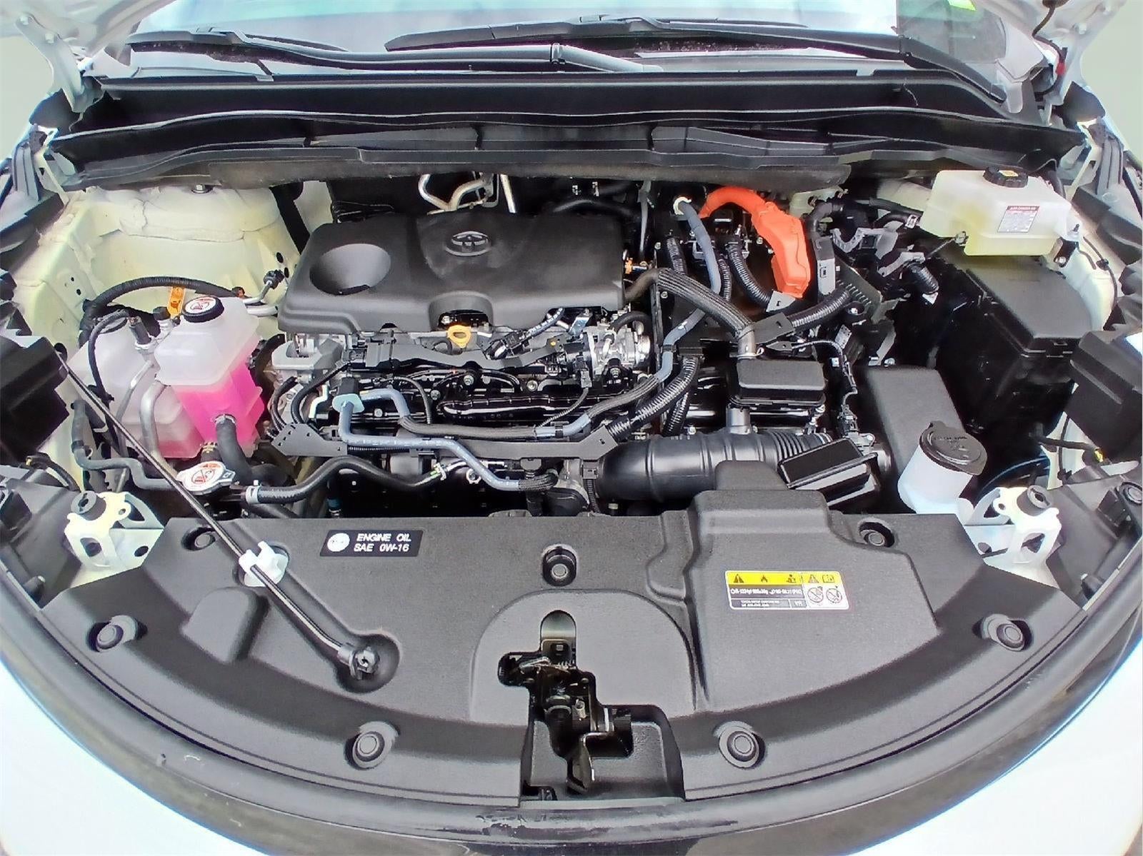 2025 Toyota SIENNA XSE AWD XSE