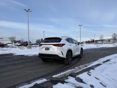 2025 Lexus NX 250 AWD