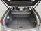 2025 Lexus Rx PREMIUM