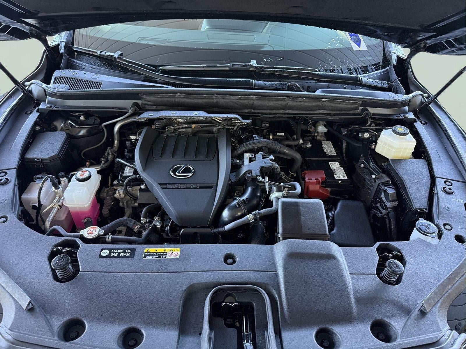 2024 Lexus RX RX 350 Premium