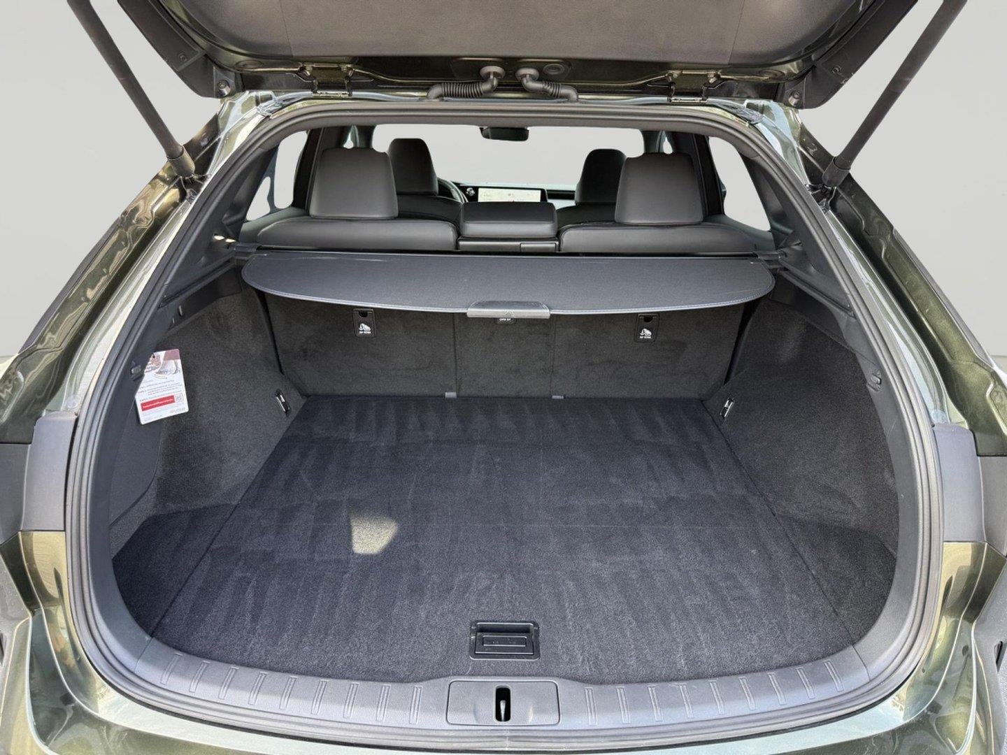 2025 Lexus Rx 350H RX 350h Premium