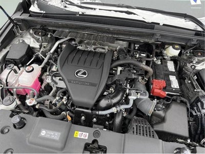 2025 Lexus NX 350 PREMIUM