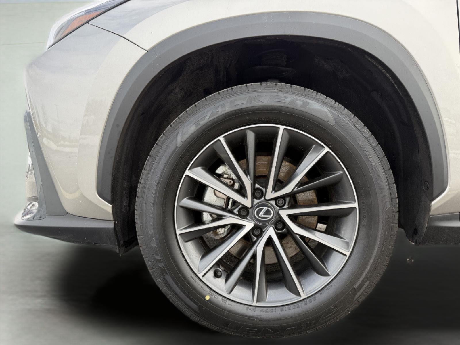 2025 Lexus NX 350 NX 350 Premium