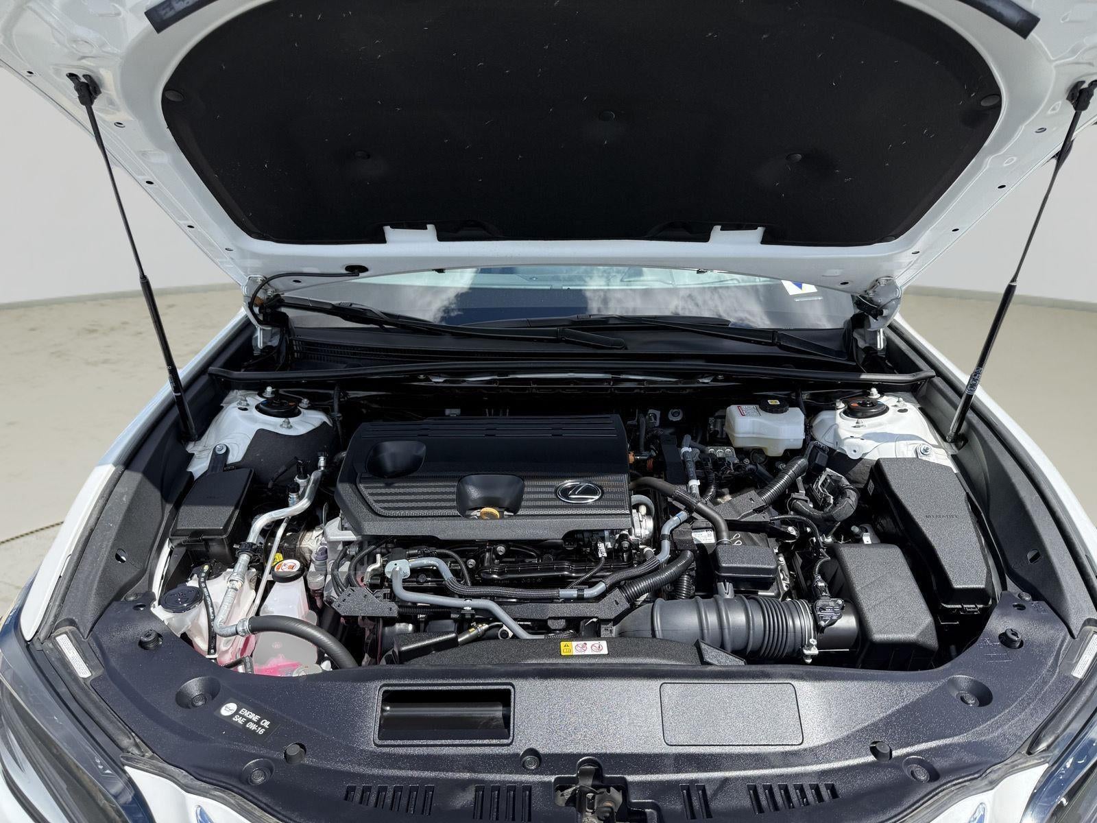 2024 Lexus ES 300h 