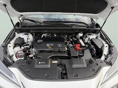 2024 Lexus NX 250 Base