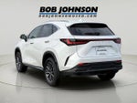 2024 Lexus NX 250 Base