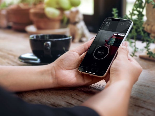 Bob Johnson Mazda in Rochester NY